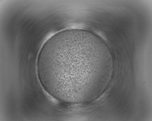 X0000067481471200604150003