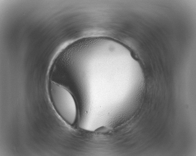 X0000067481472200604150003