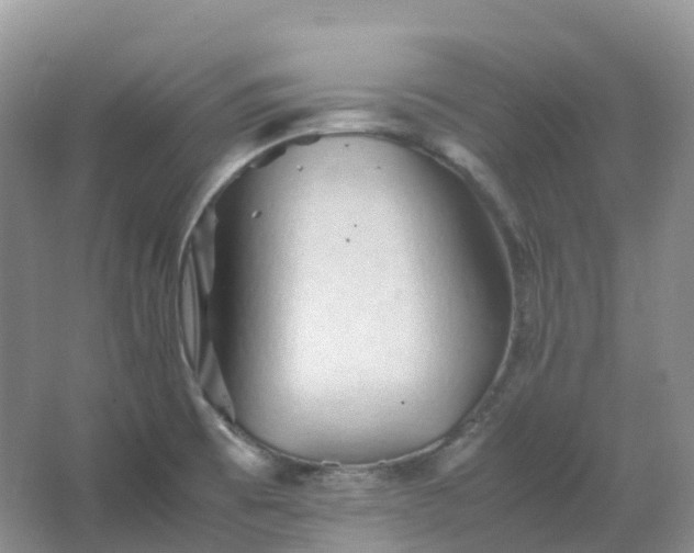 X0000067481473200604150003