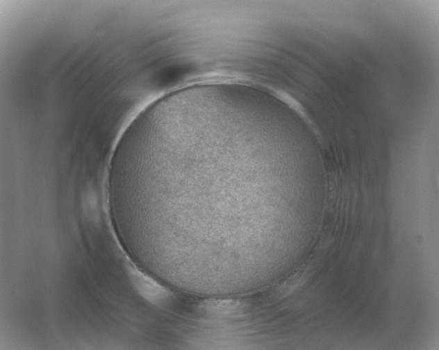 X0000067481474200604150003