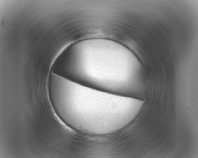 X0000067481476200604150003