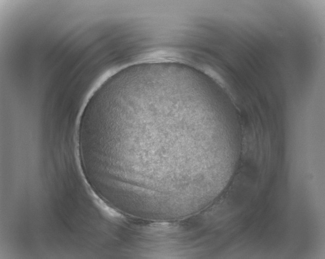 X0000067481478200604150003