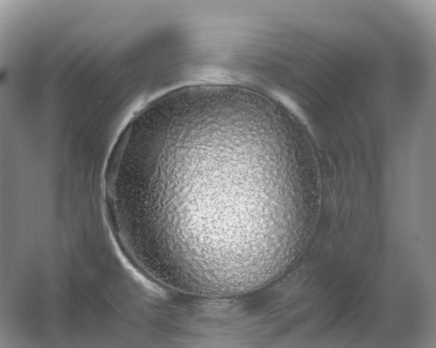 X0000067481479200604150003