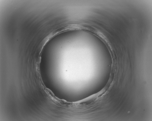 X0000067481481200604150003