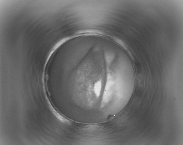 X0000067481482200604150003