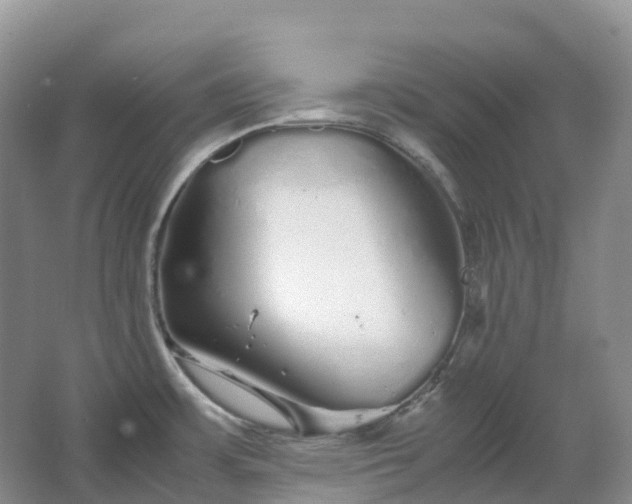 X0000067481483200604150003