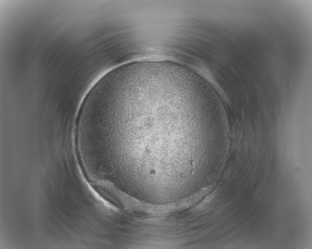 X0000067481484200604150003