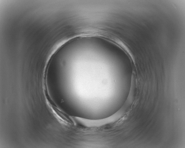 X0000067481485200604150003