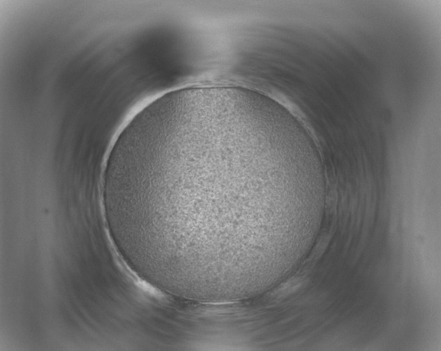 X0000067481486200604150003