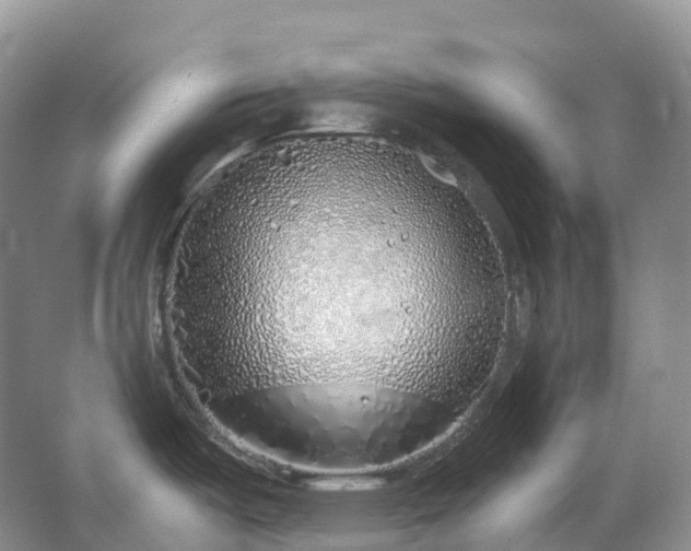 X0000067481487200604150003