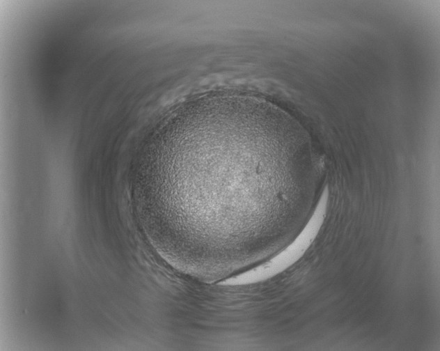 X0000067481489200604150002