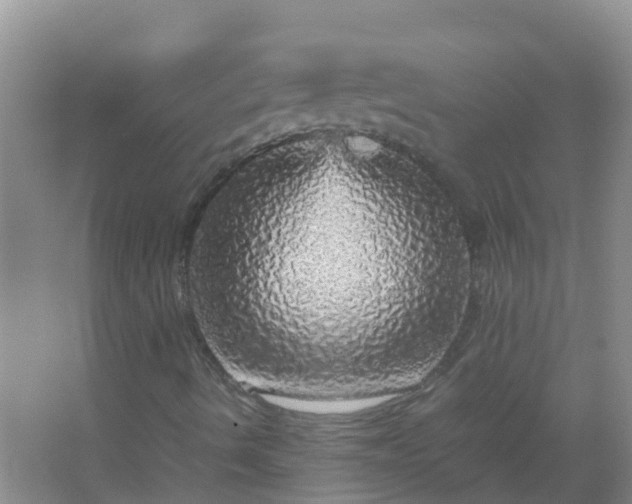 X0000067481490200604150002