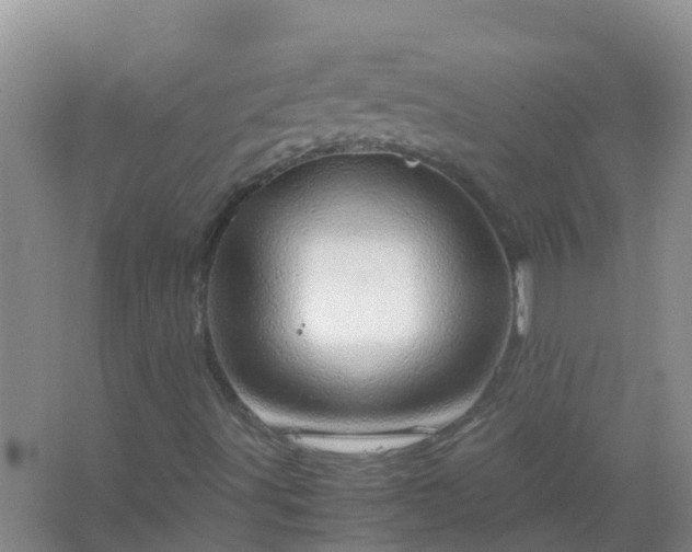 X0000067481491200604150002