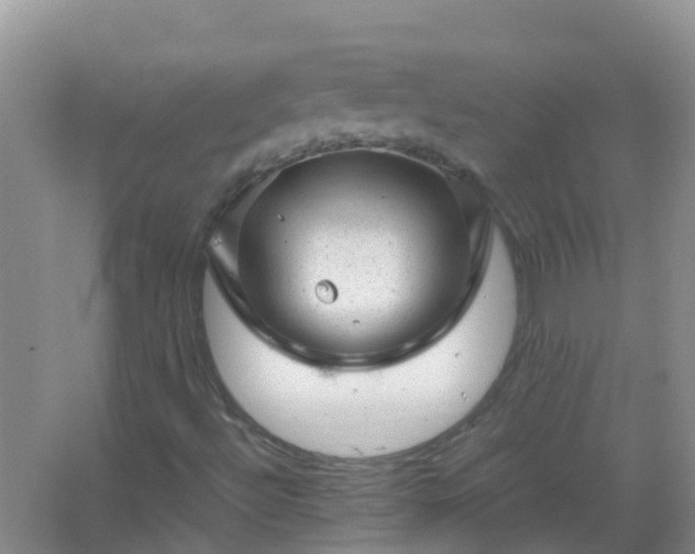 X0000067481492200604150002