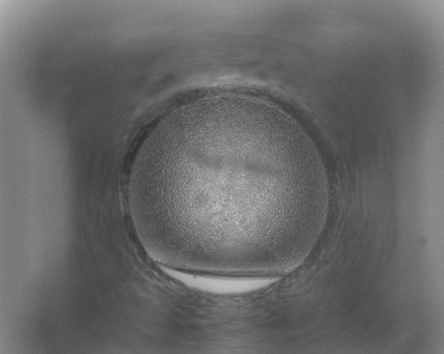 X0000067481493200604150002