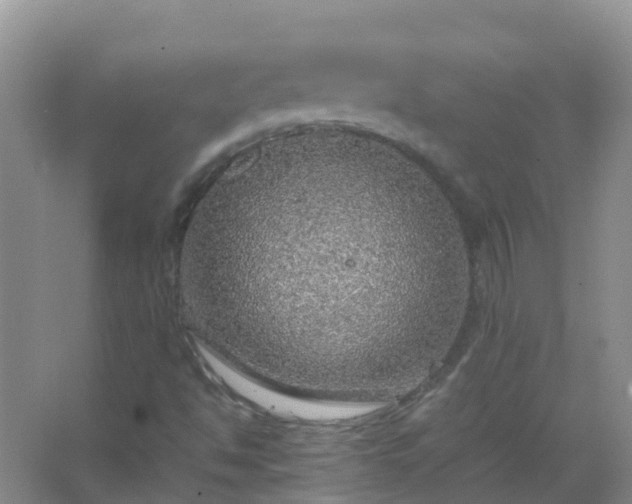 X0000067481494200604150002