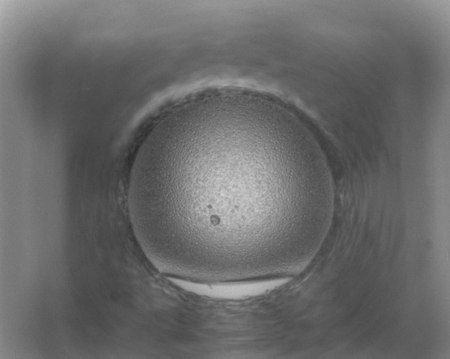 X0000067481495200604150002