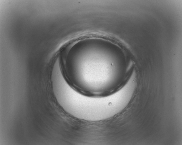 X0000067481496200604150002