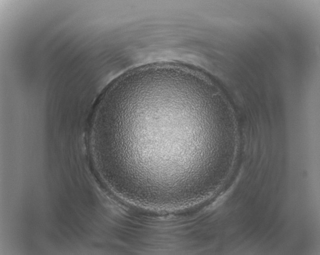 X0000067481497200604150002