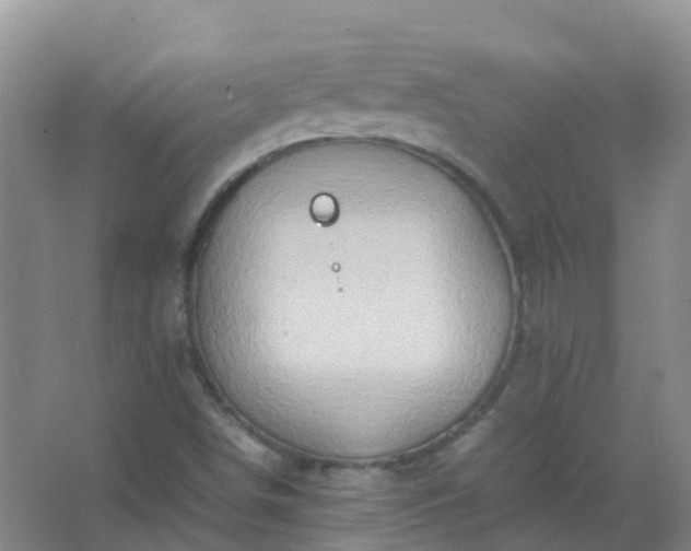 X0000067481498200604150002