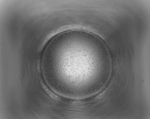 X0000067481499200604150002