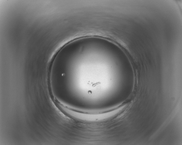 X0000067481500200604150002