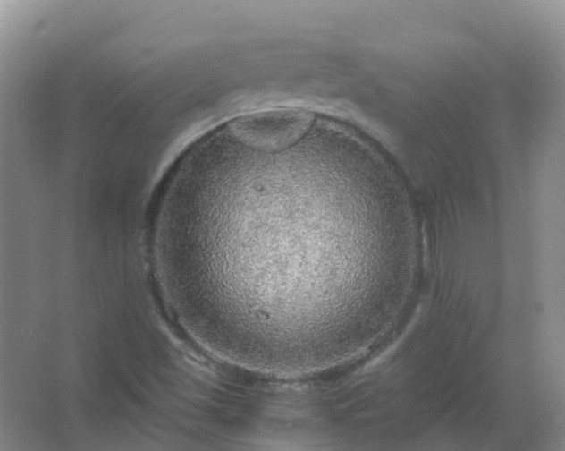 X0000067481501200604150002