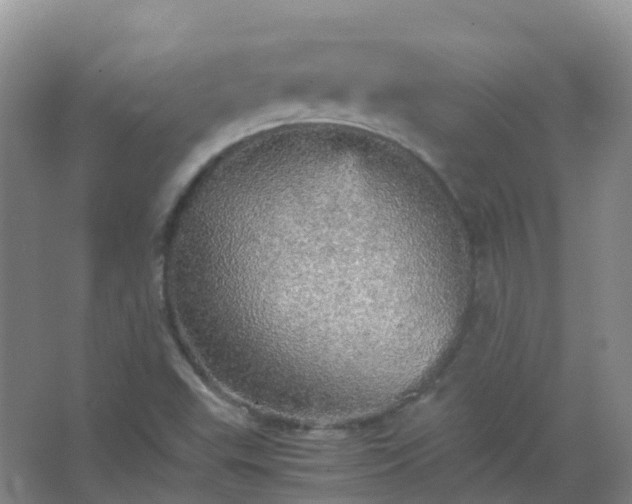 X0000067481503200604150002