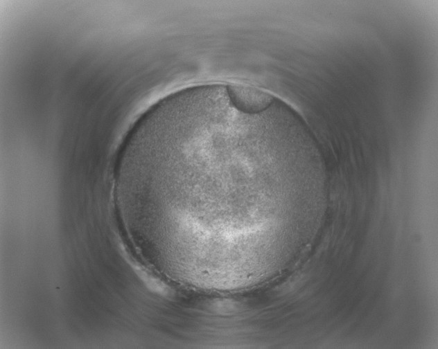 X0000067481507200604150003