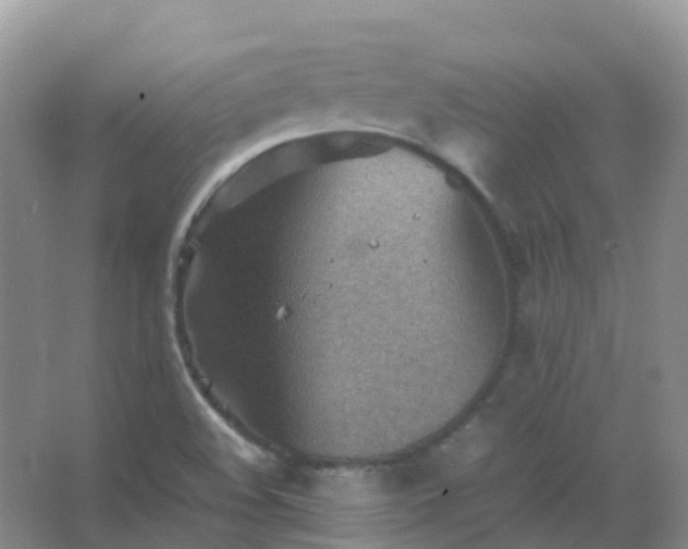 X0000067481508200604150003