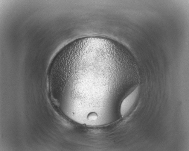 X0000067481509200604150003