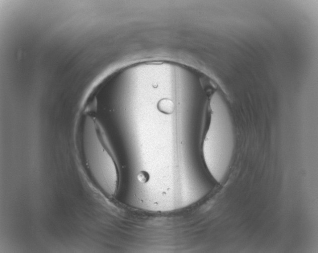 X0000067481510200604150003