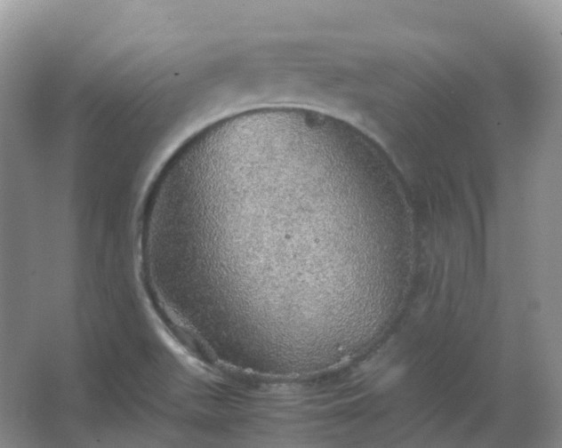 X0000067481511200604150003