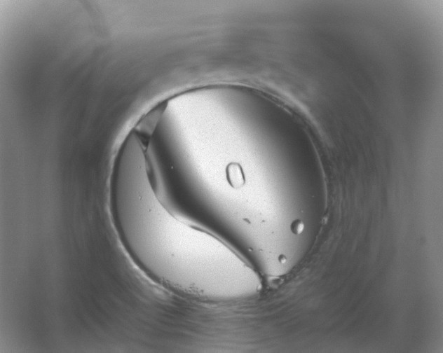 X0000067481512200604150003