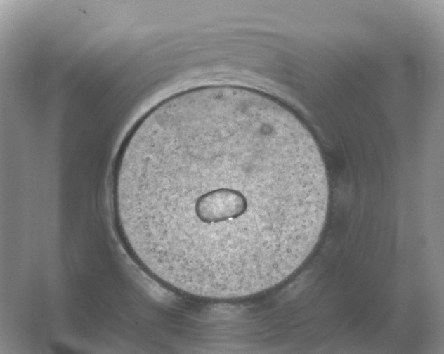 X0000067481514200604150003