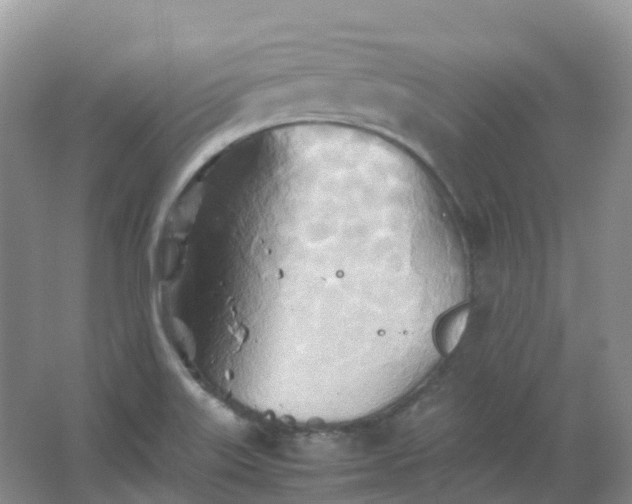 X0000067481515200604150003