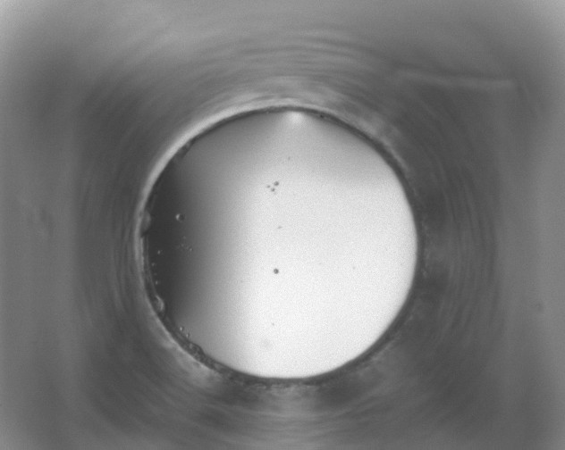 X0000067481516200604150003