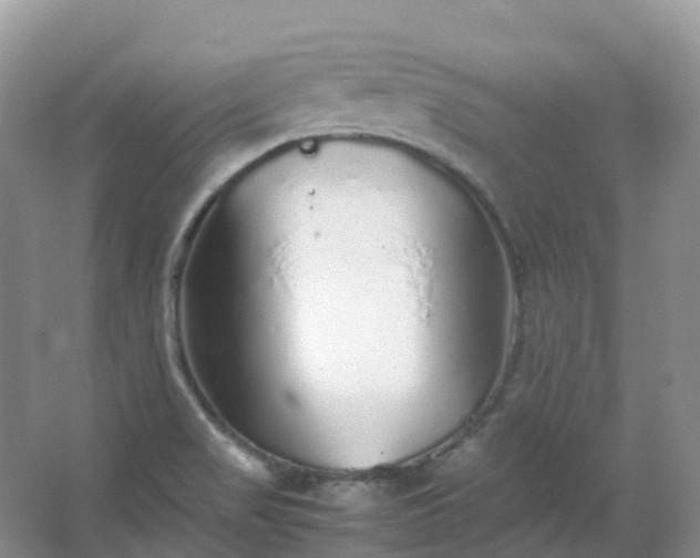 X0000067481517200604150003