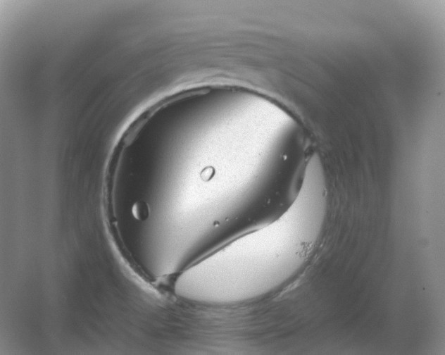 X0000067481518200604150003