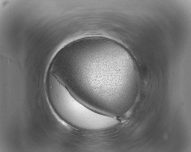 X0000067481519200604150003