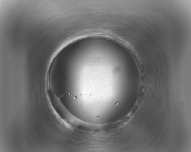 X0000067481520200604150003