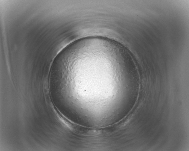 X0000067481521200604150003