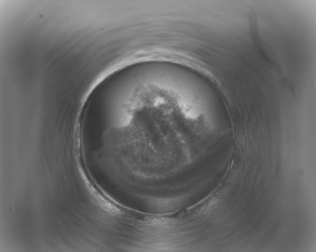 X0000067481522200604150003