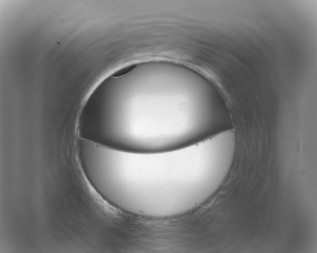 X0000067481524200604150003