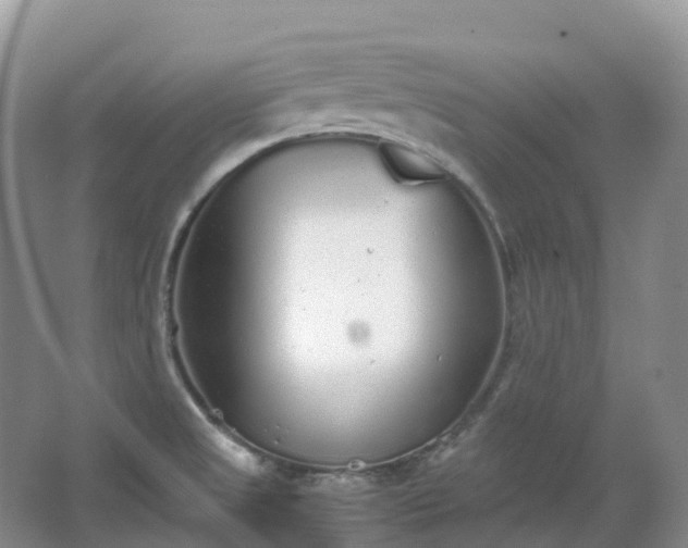 X0000067481525200604150003