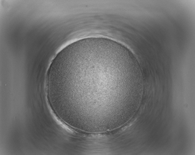 X0000067481526200604150003