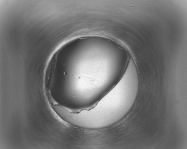 X0000067481528200604150003