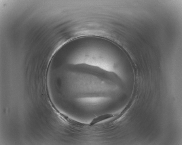 X0000067481529200604150003