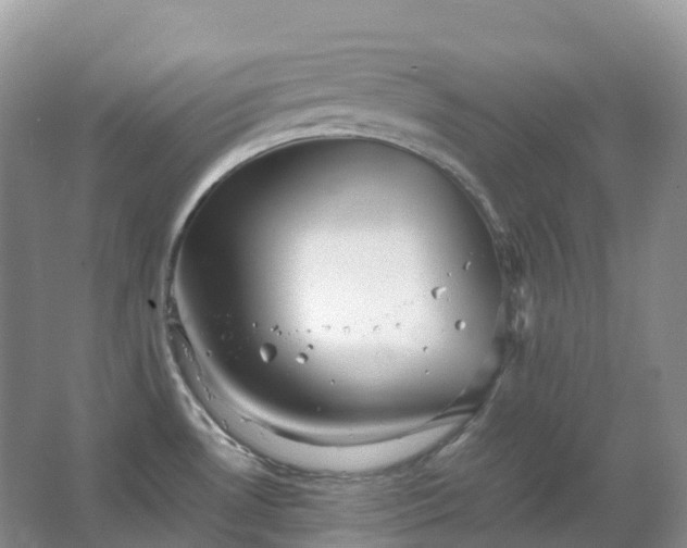 X0000067481530200604150003