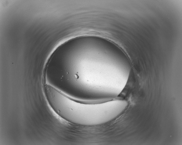 X0000067481531200604150003